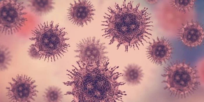 novel Corona Virus Diduga Menular dari Manusia ke Manusia