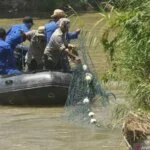 Tim Penyelamat Buaya BKSDA Sulteng Gunakan Drone Selamatkan Buaya Berkalung Ban Bekas