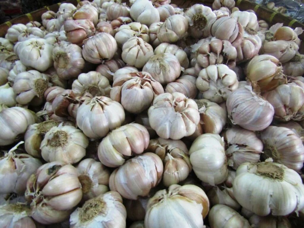 Harga Bawang Putih Naik, Imbas Dihentikannya Impor dari China