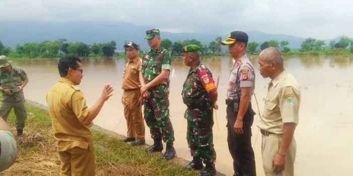 Petani Rugi Rp1,5 Miliar, Puluhan Hektare Sawah Terendam banjir di Desa Kasturi