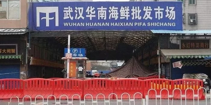 Pasar Grosir di Wuhan Berperan Sebarkan Virus Corona, Ini Penjelasan WHO