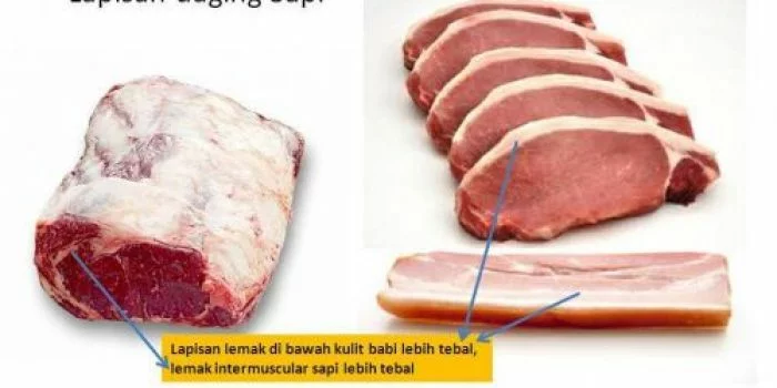 Jangan Khawatir, Ini 5 Tips Membedakan Daging Sapi dengan Daging Babi