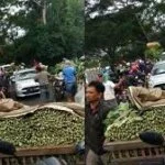 Heboh Viral Pedagang di Malang Buang Sayur, Ini Klarifikasi Dirjen Hortikultura