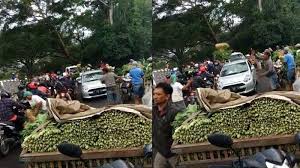 Heboh Viral Pedagang di Malang Buang Sayur, Ini Klarifikasi Dirjen Hortikultura