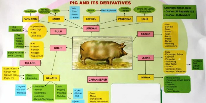 Ini Daftar Sebutan Babi di Berbagai Produk Makanan, Umat Islam Wajib Tahu