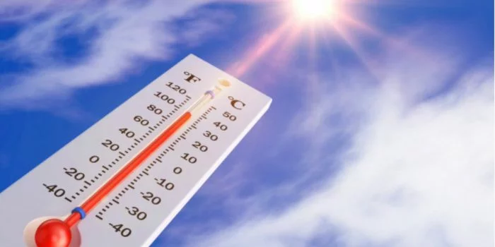 Suhu Udara Naik 1,5 Derajat Celcius, Indonesia Berpotensi Kekeringan