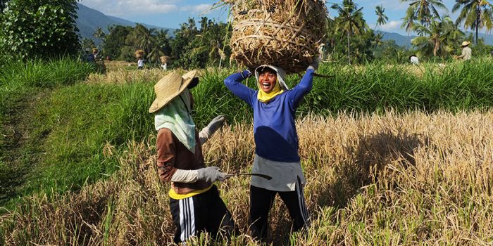 Covid-19 Merusak Sektor Pariwisata Bali, Begini Kisah Warganya