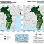 Banjir Kalimantan Selatan Dipicu Menipisnya Hutan, Ini Hasil Kajian LAPAN