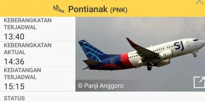 Sriwijaya Air penerbangan SJ182 dilaporkan hilang kontak Sabtu (9/1/2021).(Flightradar24)