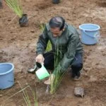 Presiden Jokowi Tanam Vetiver Bersama Warga untuk Cegah Longsor