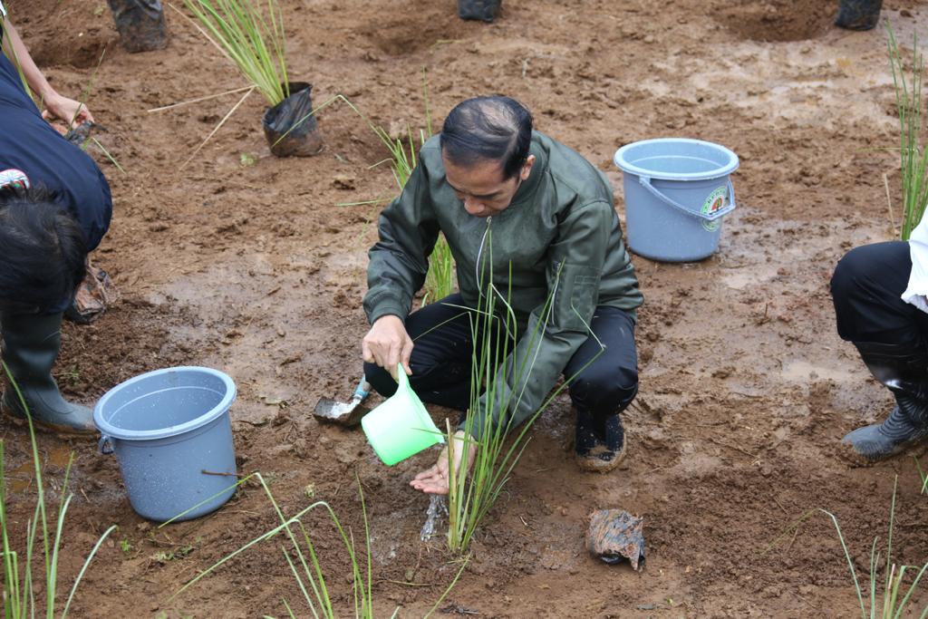 Presiden Jokowi Tanam Vetiver Bersama Warga untuk Cegah Longsor