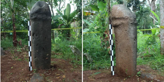 Batu tegak bertipe phallus atau berbentuk kelamin laki-laki yang ditemukan di pemakaman kaum di Jorong Balai Tabuah, Nagari Tanjung Sungayang, Kecamatan Sungayang, Kabupaten Tanah Datar, Sumatera Barat. (Foto: bakaba.net)