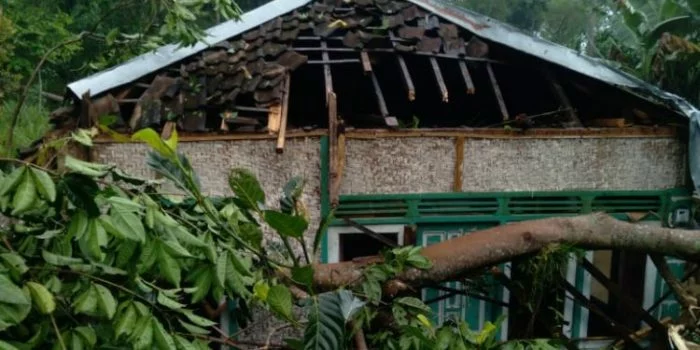 Cianjur Hujan Es, 5 Rumah Tertimpa Pohon Tumbang