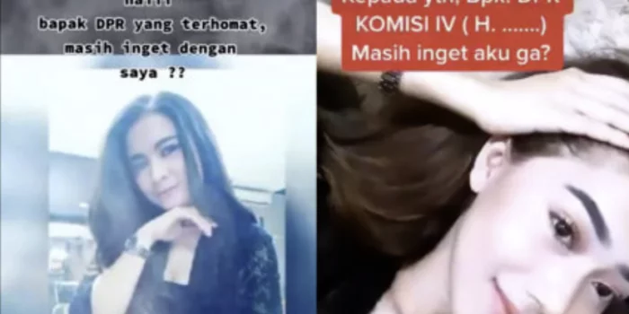 Mengaku Simpanan DPR dan Ancam Lapor ke Istri Foto: 16qyrran, dphantel