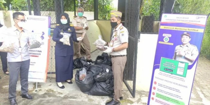 Bencana Belum Usai, Bibit Sayur, Bunga dan Buah Ilegal dari 9 Negara Masuk Indonesia