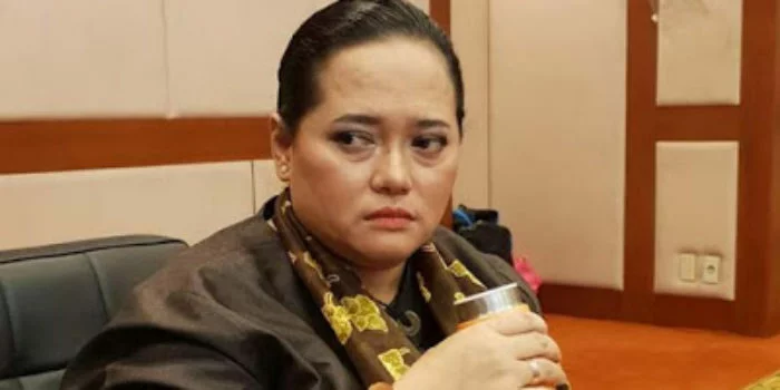 Mbak You: Ada Insiden Pesawat, Warnanya Biru