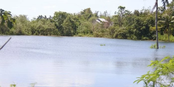 Danau Baru Terbentuk Usai Siklon Tropis Seroja