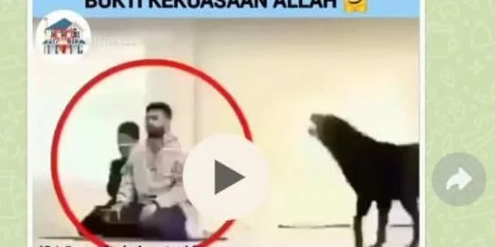 Fakta Video Anjing Zionis Israel Dilatih untuk Menerkam Orang Salat