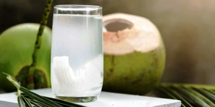 Minum Air Kelapa Sebelum danMinum Air Kelapa Sebelum dan Sesudah Vaksin untuk Fungsi Menetralisir, Mitos atau Fakta?