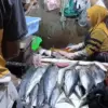 Ikan